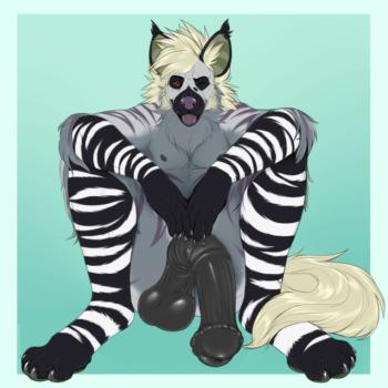 View stimkypawz's Gallery